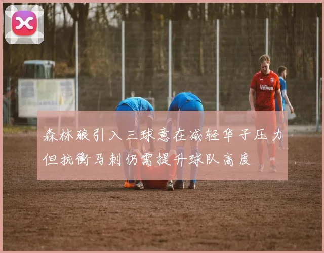 森林狼引入三球意在减轻华子压力但抗衡马刺仍需提升球队高度